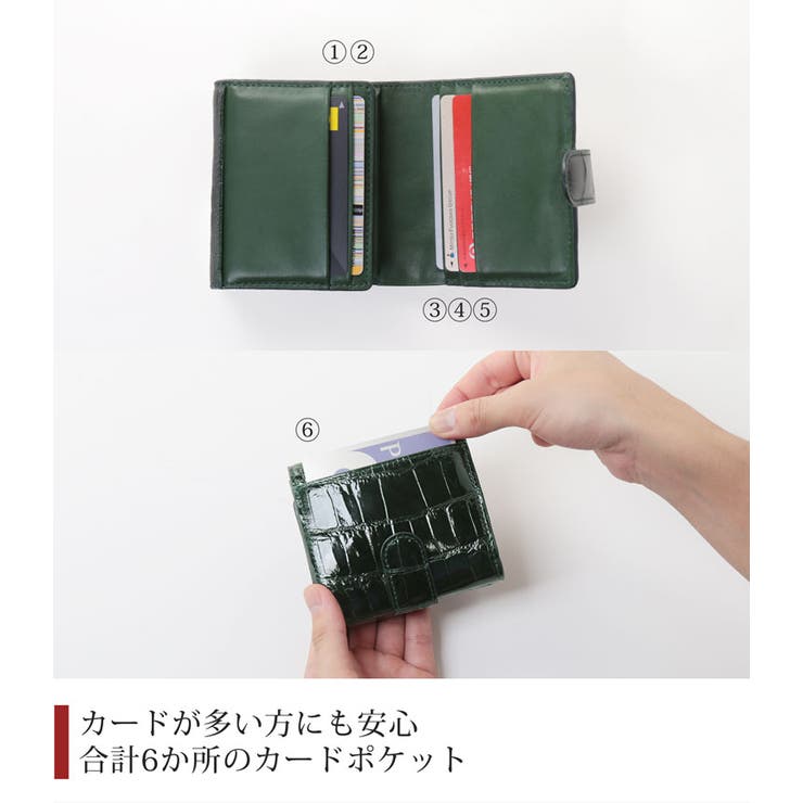 クロコダイル ミニ財布 レディース | sankyo shokai  | 詳細画像4 