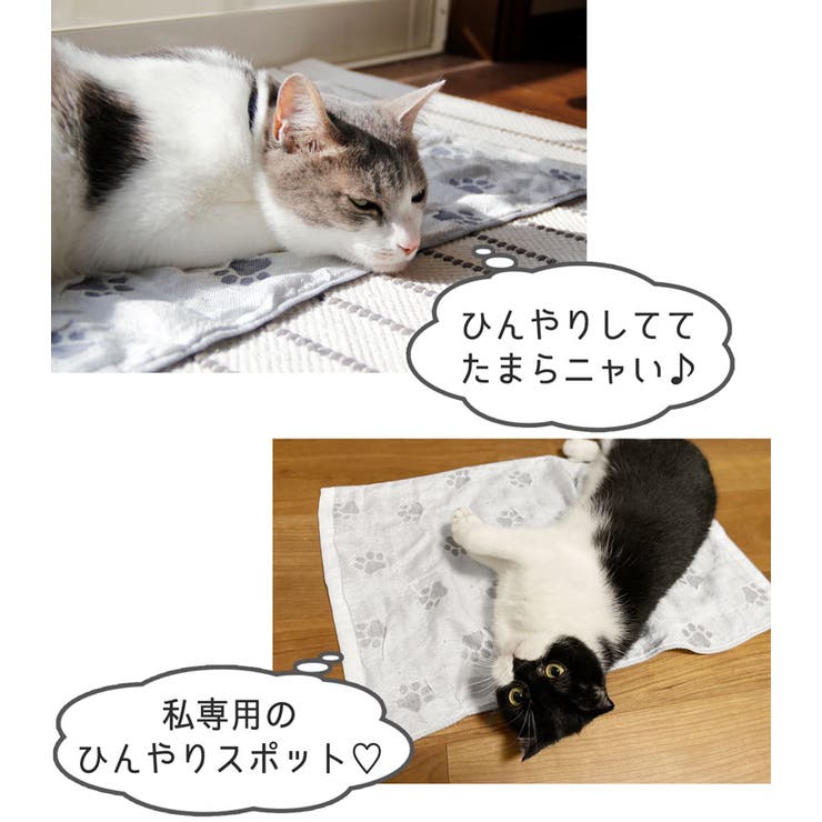 ペット 冷感マット 日本製 | sankyo shokai  | 詳細画像6 
