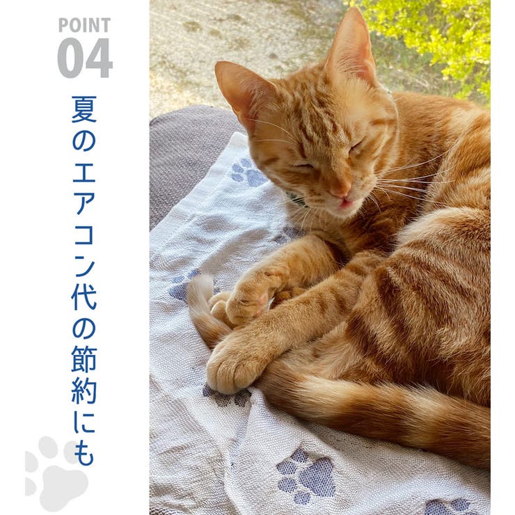 ペット 冷感マット 日本製 | sankyo shokai  | 詳細画像14 