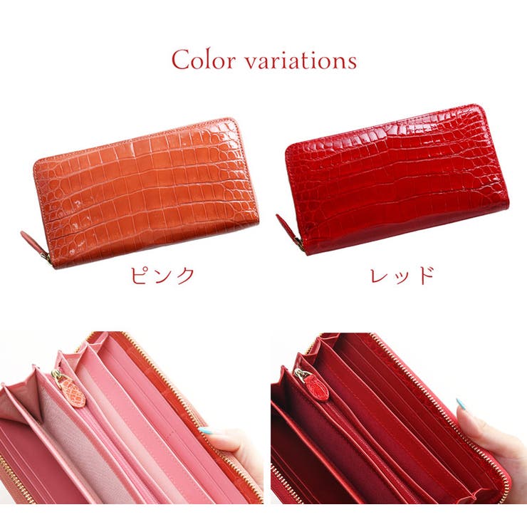 シャイニング クロコダイル 本物 | sankyo shokai  | 詳細画像12 