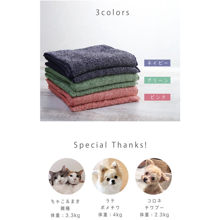 ペット タオル 吸水 | sankyo shokai  | 詳細画像14 