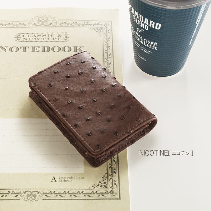 【クーポン対象!】オーストリッチ 名刺入れ カードケース | sankyo shokai  | 詳細画像8 