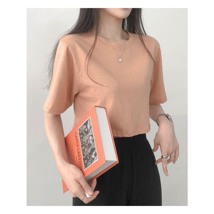 ダークベージュ | 13カラークロップド半袖tシャツ レディース 半袖 | VIVID LADY