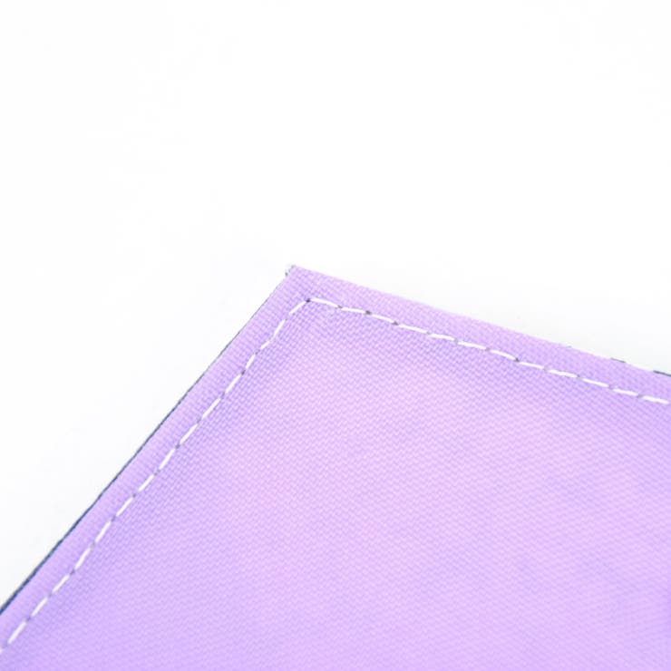 マスクケース マスク収納 レディース | AVVENTURA | 詳細画像18 