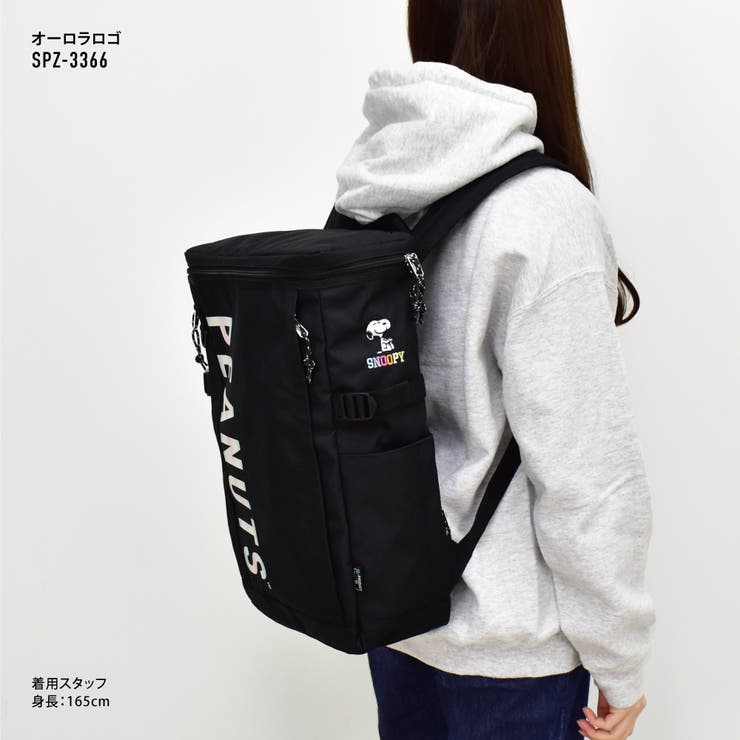 lvsn-r106.jpg