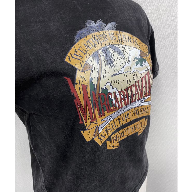 ビンテージ天竺ショート丈ビッグTシャツ ankoROCK tシャツ a.p.o.v. -ankoROCK's select- モックネックT