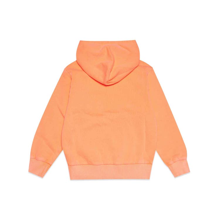 DIESEL ディーゼル ブランドロゴフーディーパーカー | SHIFFON | 詳細画像4 