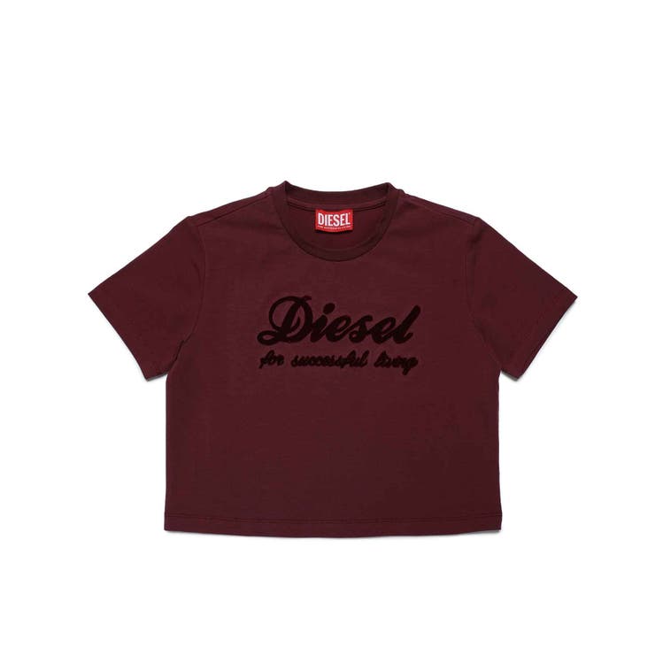 DIESEL ディーゼル ブランドロゴ半袖Tシャツカットソー | SHIFFON | 詳細画像1 