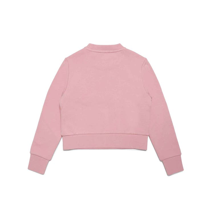 DIESEL ディーゼル ブランドロゴスウェットプルオーバー | SHIFFON | 詳細画像2 