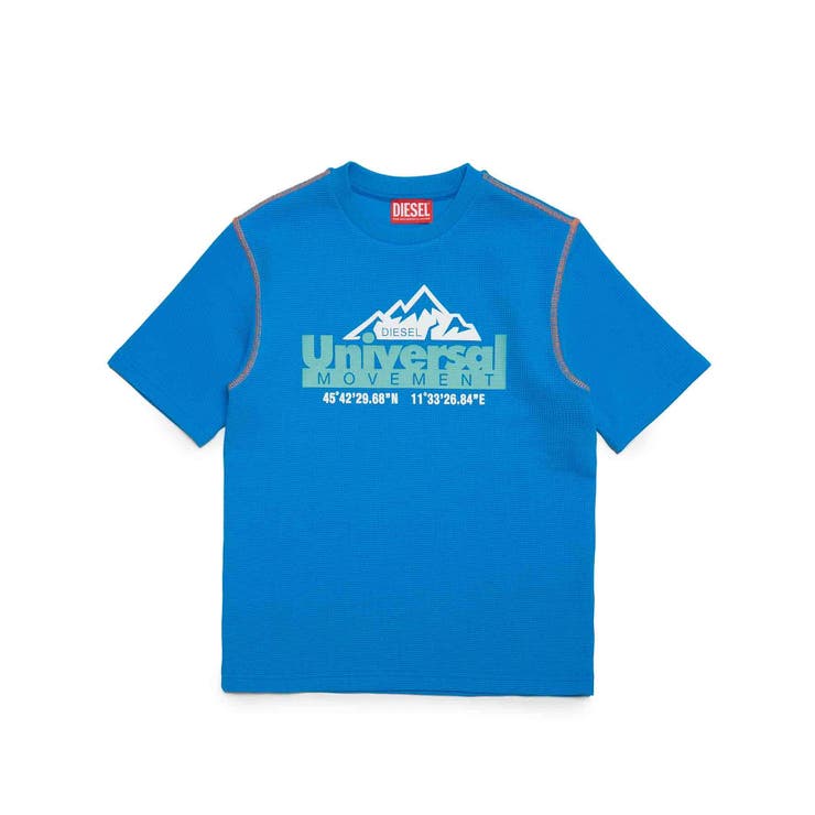 ブルー | DIESEL ディーゼル ブランドロゴグラフィック半袖Tシャツカットソー | SHIFFON