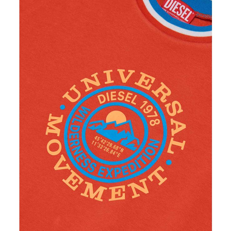 DIESEL ディーゼル ブランドロゴグラフィックスウェットプルオーバー | SHIFFON | 詳細画像3 