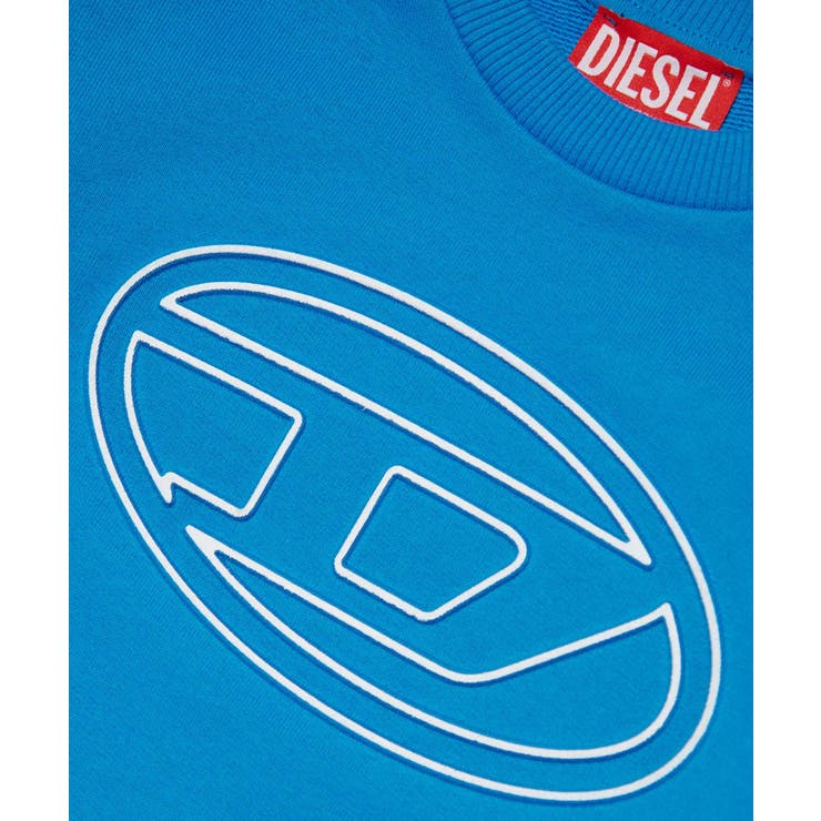 DIESEL ディーゼル ブランドロゴスウェットプルオーバー | SHIFFON | 詳細画像5 