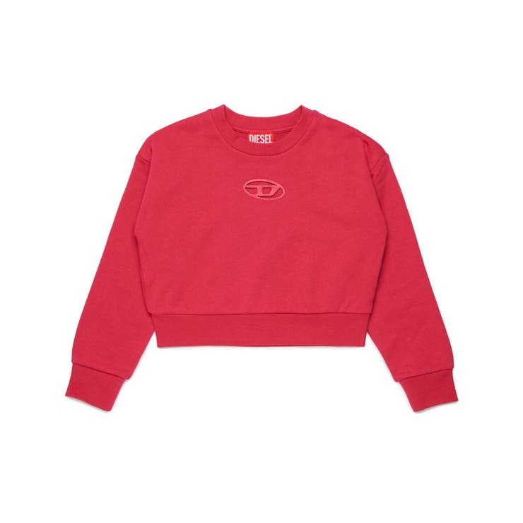 ピンク | DIESEL ディーゼル ワンポイントブランドロゴスウェットプルオーバー | SHIFFON