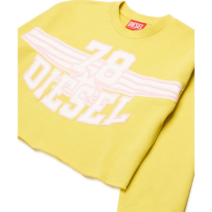 DIESEL ディーゼル ブランドロゴスウェットプルオーバー | SHIFFON | 詳細画像3 