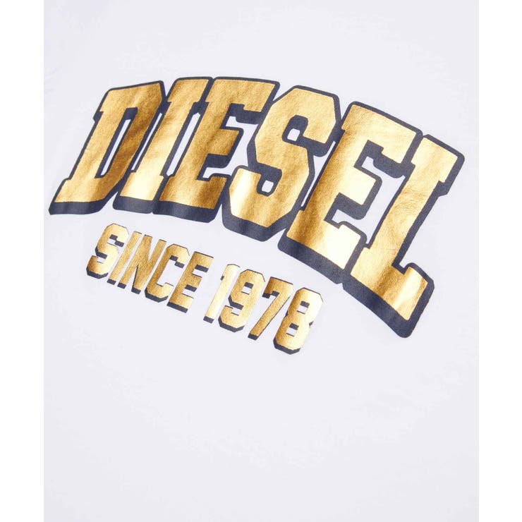 DIESEL ディーゼル ブランドロゴ半袖Tシャツカットソー | SHIFFON | 詳細画像10 