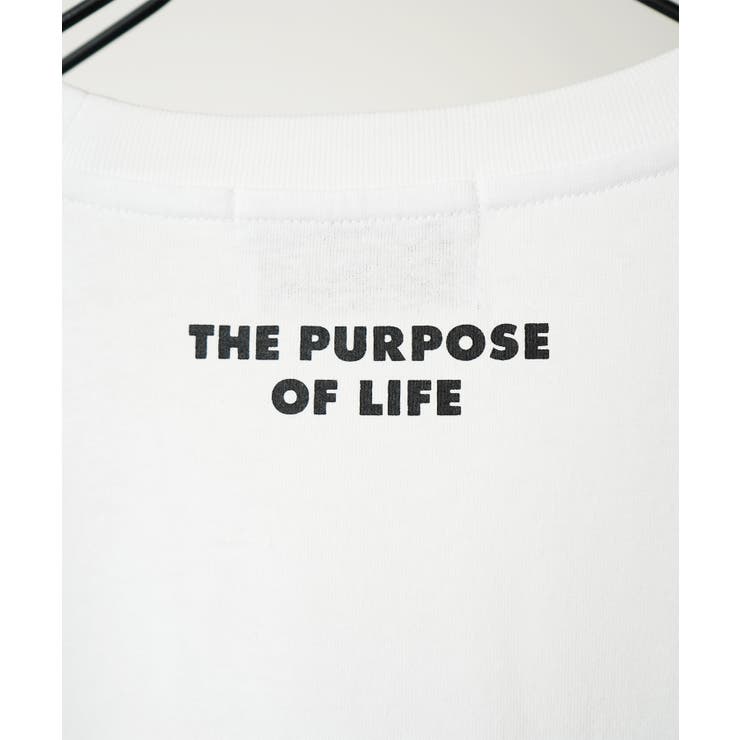 Confirm コンファーム アソート | SHIFFON  | 詳細画像21 