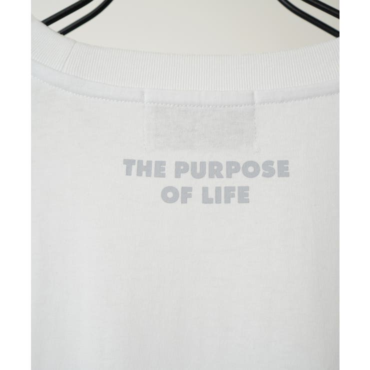 Confirm コンファーム アソート | SHIFFON  | 詳細画像23 