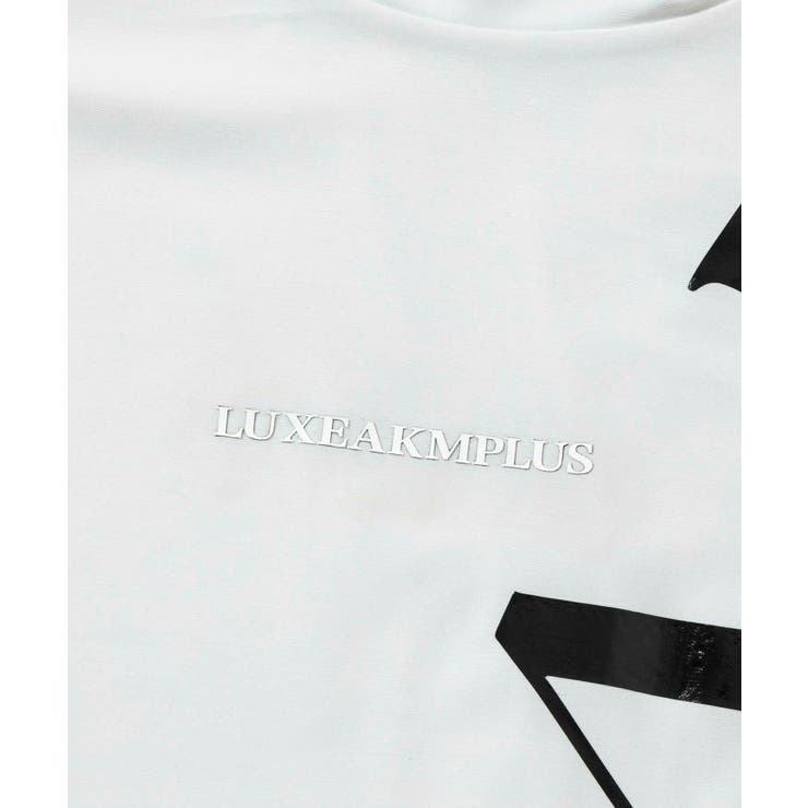 LUXEAKMPLUS リュクスエイケイエムプラス ゴルフ | SHIFFON  | 詳細画像21 