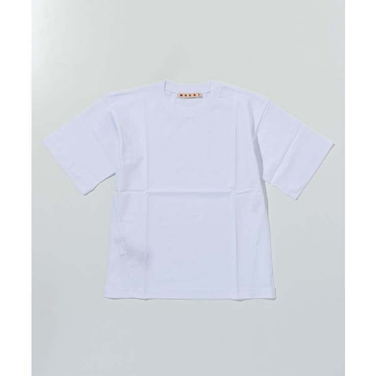 ホワイト | MARNI マルニ 半袖Tシャツカットソー | SHIFFON