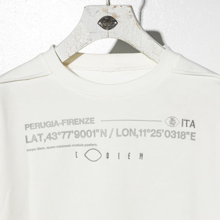 C DIEMハイデンプリント半袖Tシャツ | SHIFFON  | 詳細画像8 