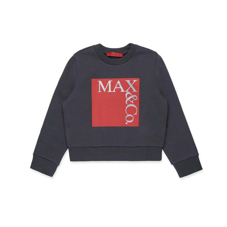 ネイビー | MAX&Co マックス アンド | SHIFFON