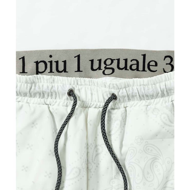 1PIU1UGUALE3 RELAX ウノピゥウノウグァーレトレ | SHIFFON  | 詳細画像23 