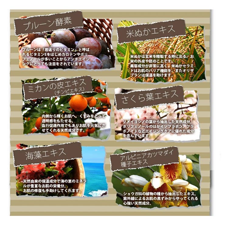 薬用 ピーリングジェル 45g プラセンタ ポロポロ ジェル 角質 くすみ | 白くま化粧品 | 詳細画像12 