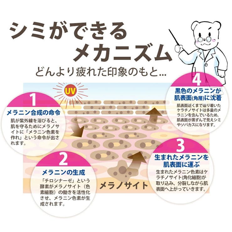 薬用 ピーリングジェル 45g プラセンタ ポロポロ ジェル 角質 くすみ | 白くま化粧品 | 詳細画像8 