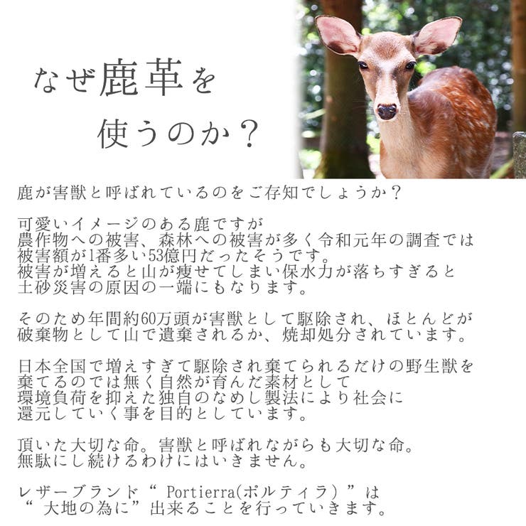 レースアップシューズ レディース 本革 | shop kilakila | 詳細画像8 