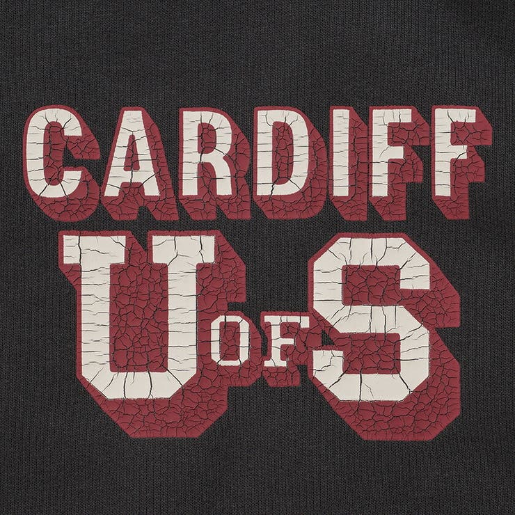 Tシャツ メンズ ベスト | SILVER BULLET | 詳細画像14 