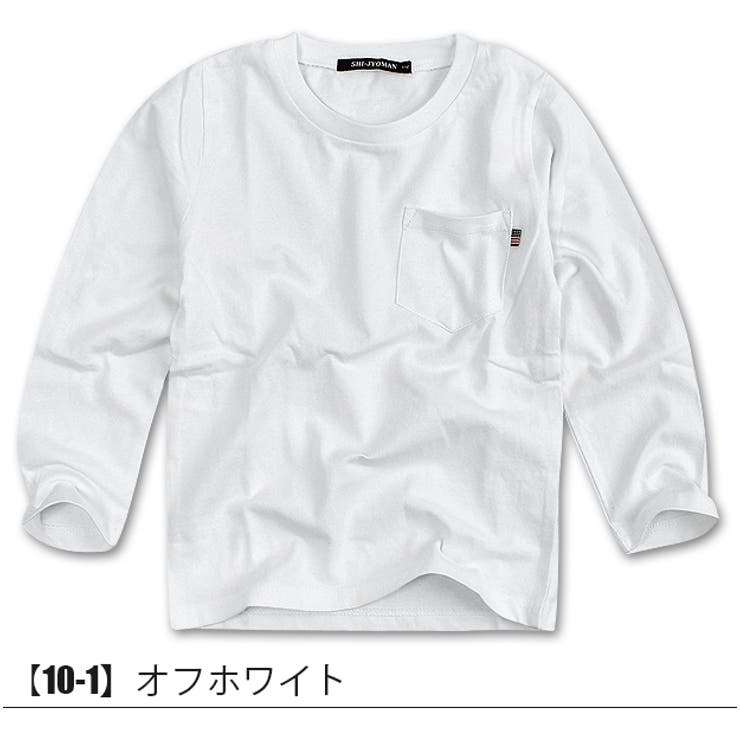 SHI JYOMAN USAコットン | シメファブリック  | 詳細画像2