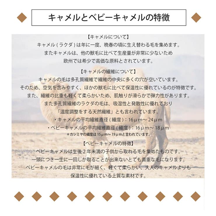 キャメル100% ニット クルーネック | SJ ONLINE STORE | 詳細画像5 