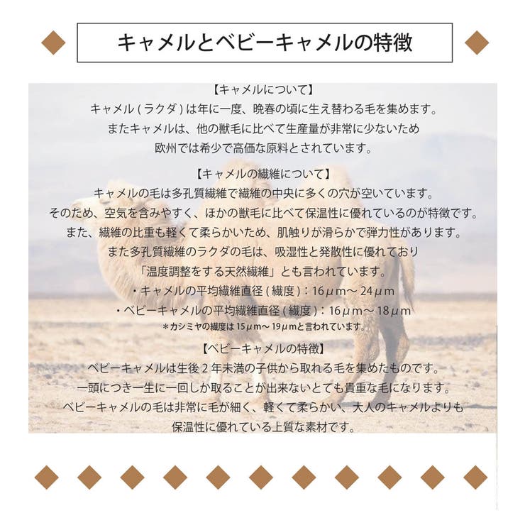 キャメル100% ニット レディース | SJ ONLINE STORE | 詳細画像17 