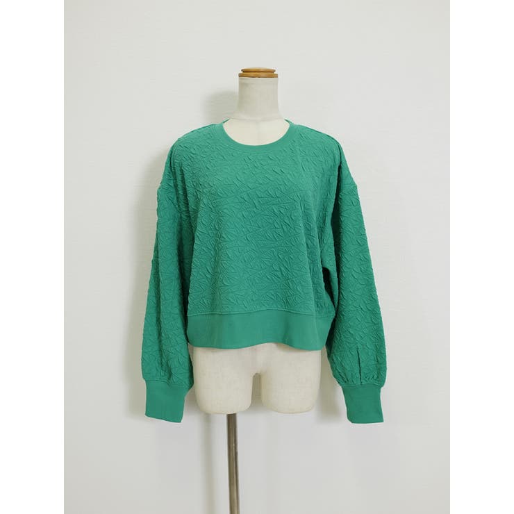 グリーン | カットソー春 長袖 レディース | SJ ONLINE STORE