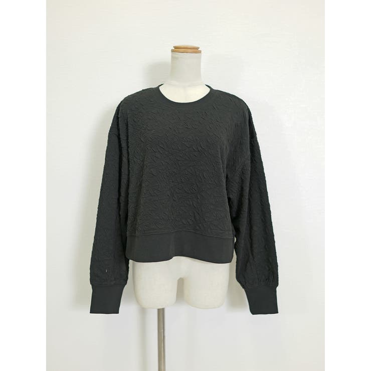 ブラック | カットソー春 長袖 レディース | SJ ONLINE STORE