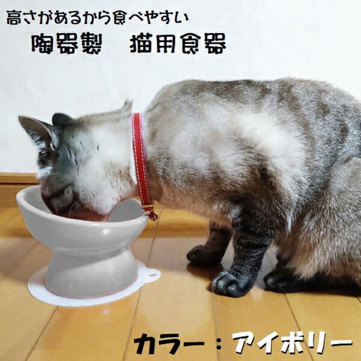 陶器製 猫用食器●アイボリー● 陶器 | Skater | 詳細画像1 