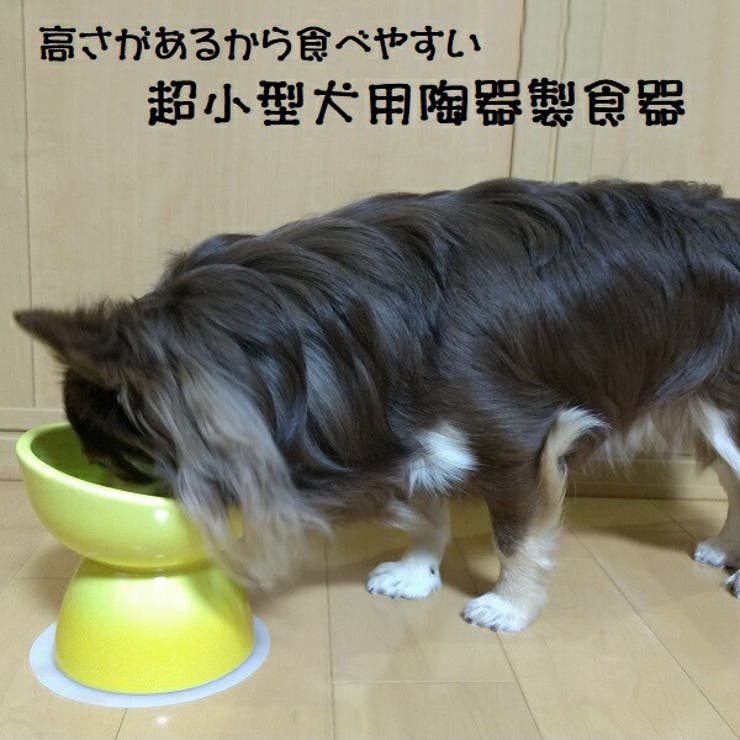 ペット 食器 犬用 | Skater | 詳細画像1 