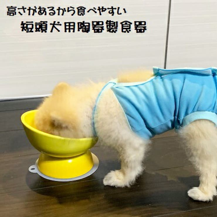 陶器製 短頭犬用食器●イエロー● 陶器 | Skater | 詳細画像1 