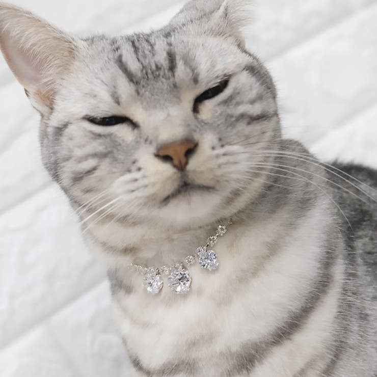 【7131】ハートビジューキラキラネックレス(ペット用)	 | SneepDip | 詳細画像8 