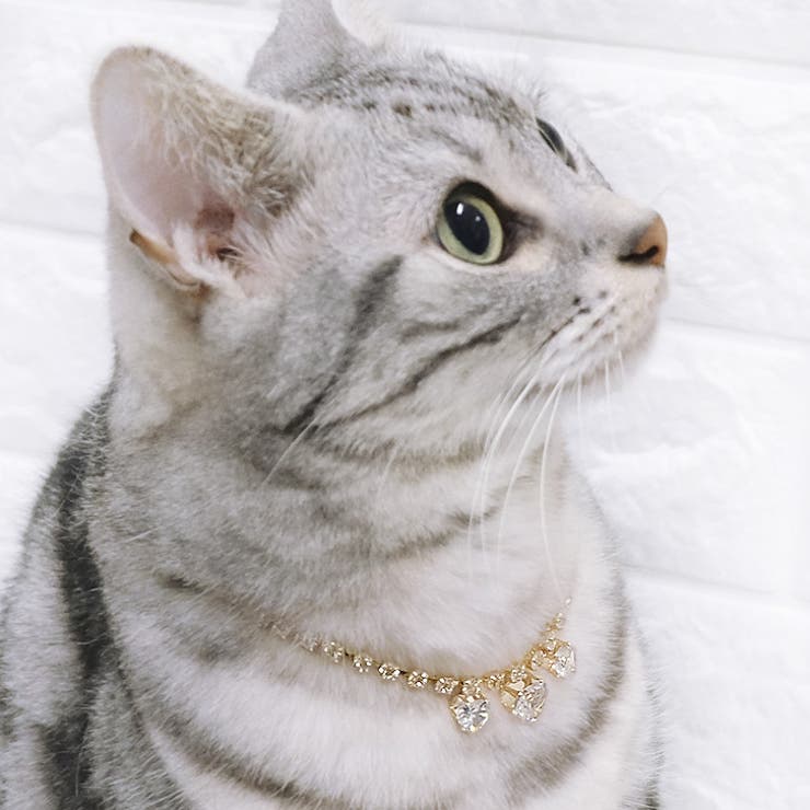 【7131】ハートビジューキラキラネックレス(ペット用)	 | SneepDip | 詳細画像3 