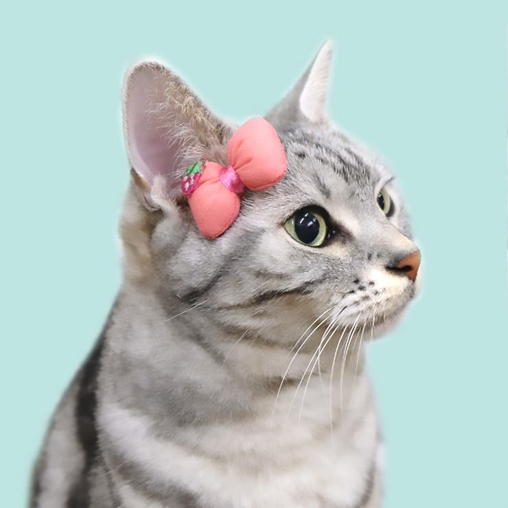 ピンク | 【7188】ストロベリーリボンピン | SneepDip