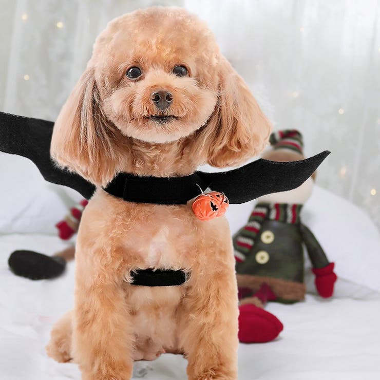 【7227】ペットハロウィーンコスチューム	 | SneepDip | 詳細画像2 