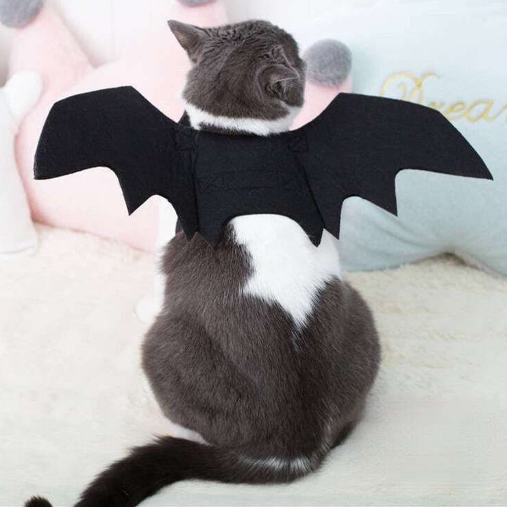 【7227】ペットハロウィーンコスチューム	 | SneepDip | 詳細画像9 