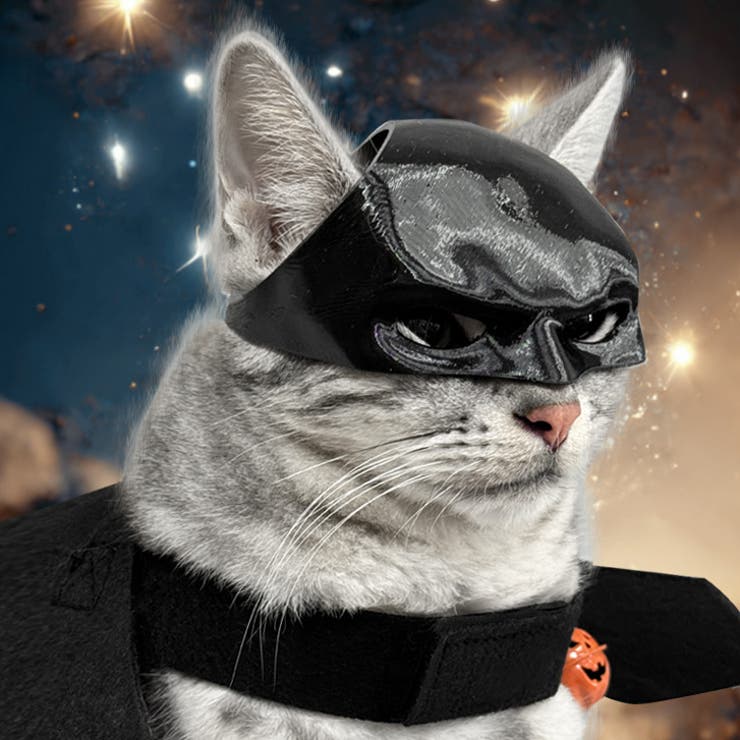 【7227】ペットハロウィーンコスチューム	 | SneepDip | 詳細画像11 