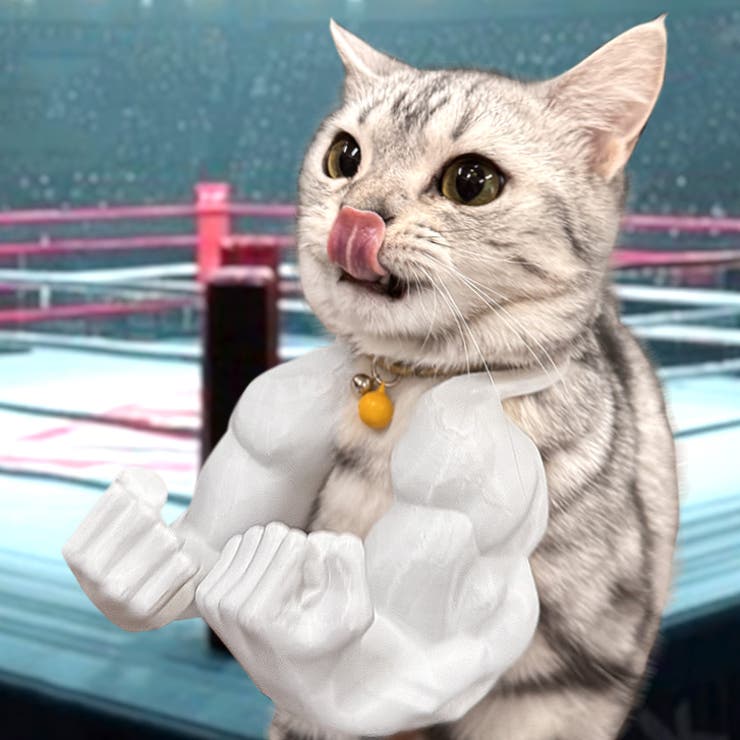 【7271】マッスルパワーアーム	 | SneepDip | 詳細画像2 