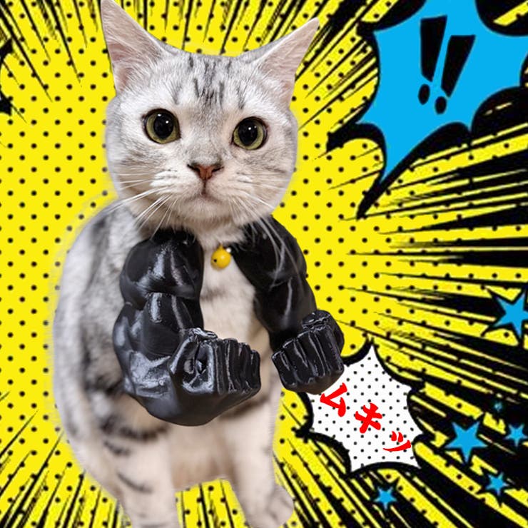 ブラック | 【7271】マッスルパワーアーム	 | SneepDip