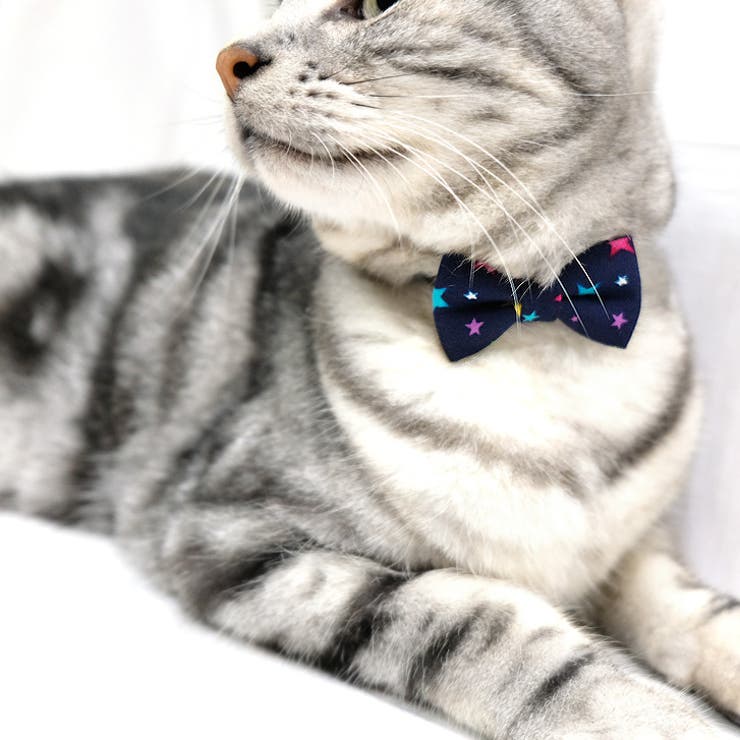 【p006】リボンチョーカー(ペット用首輪） | SneepDip | 詳細画像3 