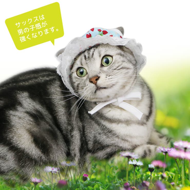 【p6】レースキャップ（小型犬用） | SneepDip | 詳細画像4 