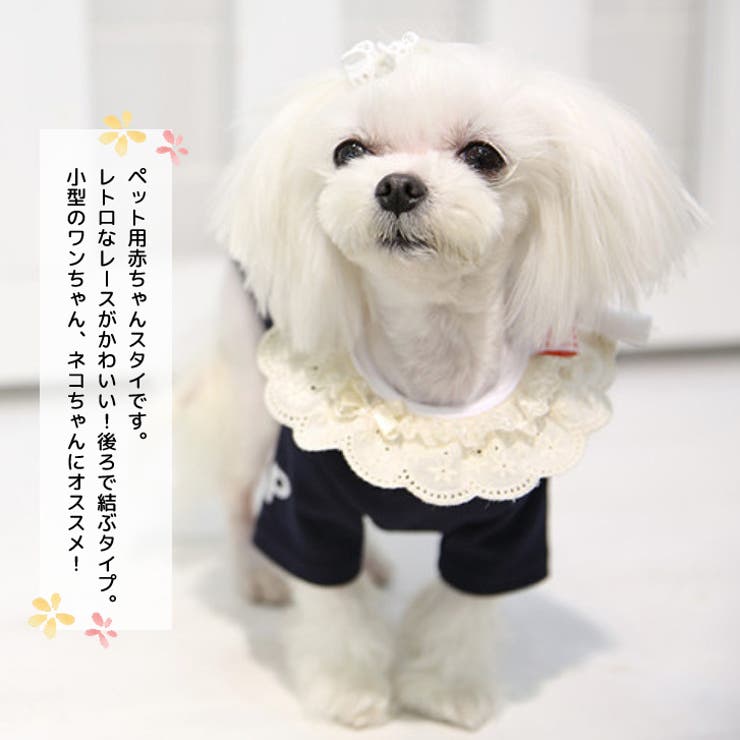 Sneepdip スニープディップ レーススタイ ペット用 品番 Ashw Sneepdip スニープディップ のレディースファッション通販 Shoplist ショップリスト