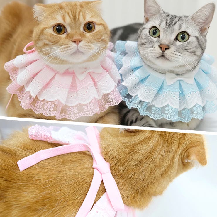 【p019】レーススタイ（ペット用） | SneepDip | 詳細画像5 